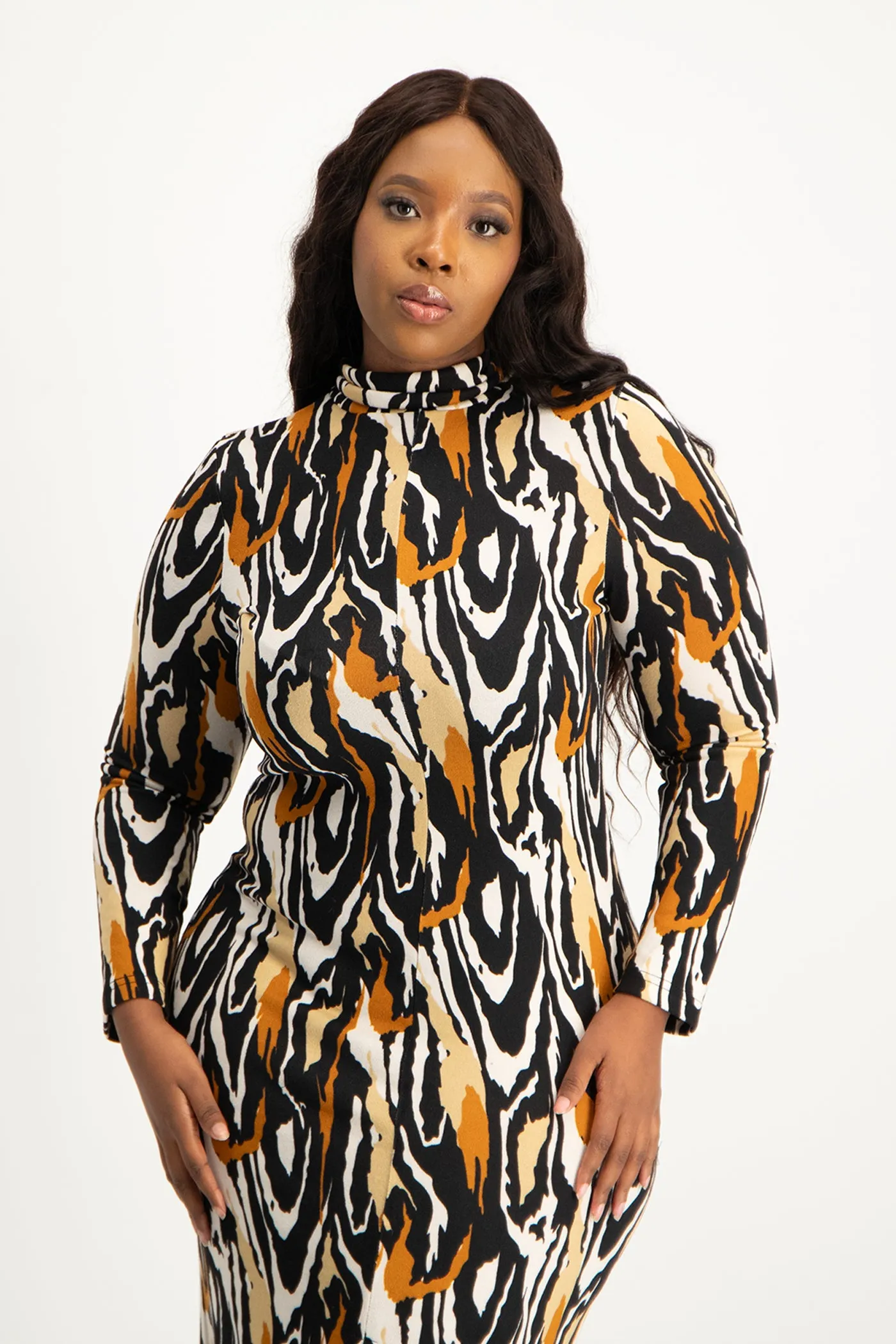 Catarina Printed Poloneck Dress