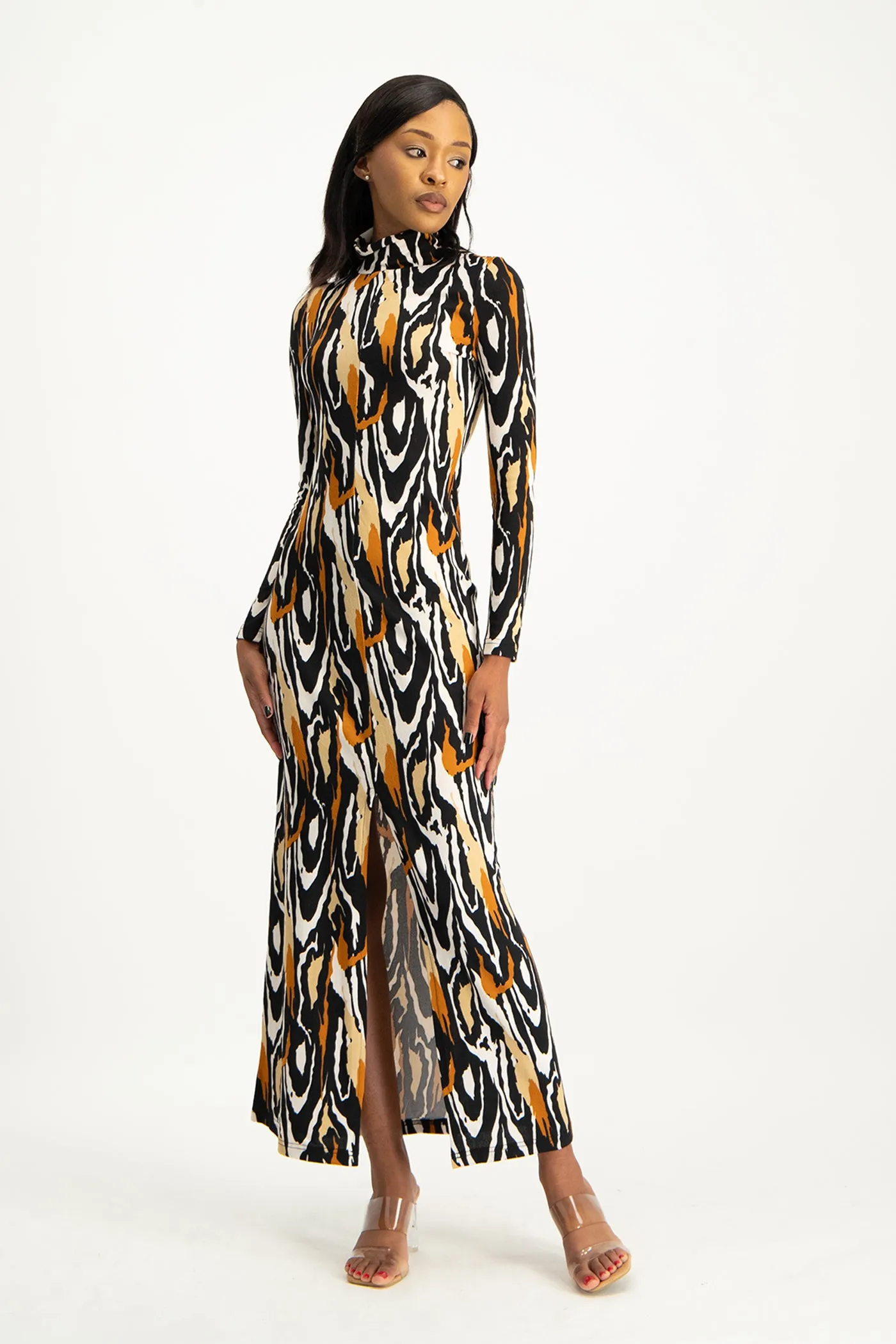 Catarina Printed Poloneck Dress