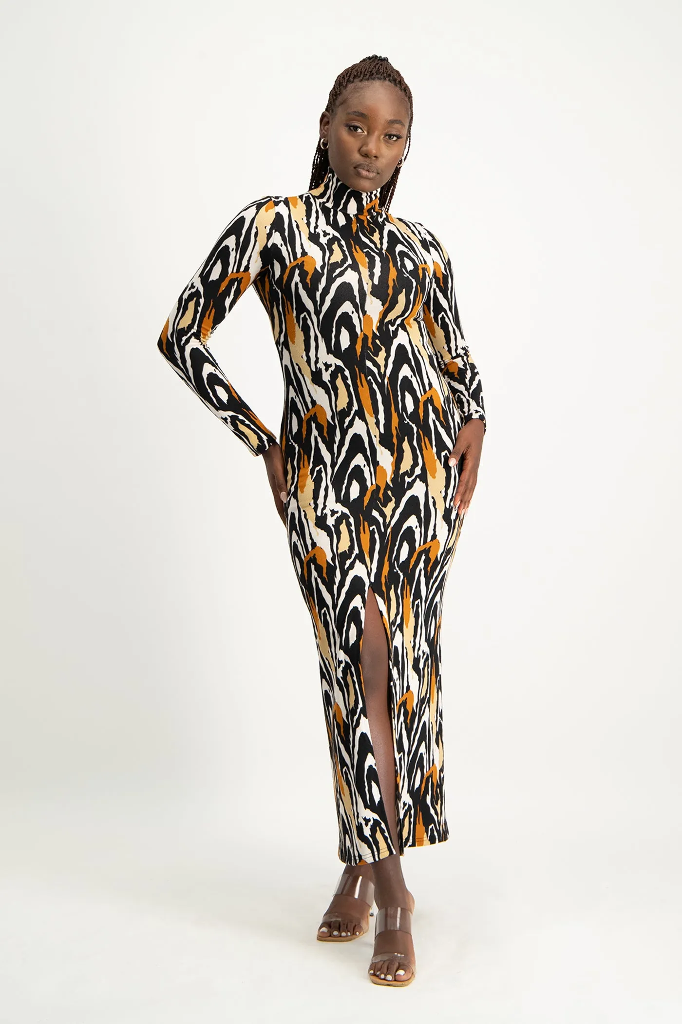 Catarina Printed Poloneck Dress
