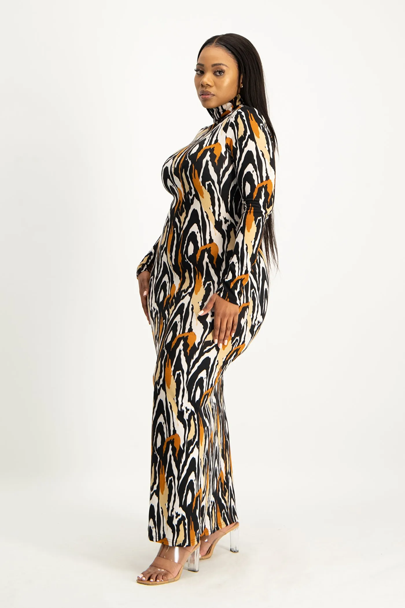 Catarina Printed Poloneck Dress