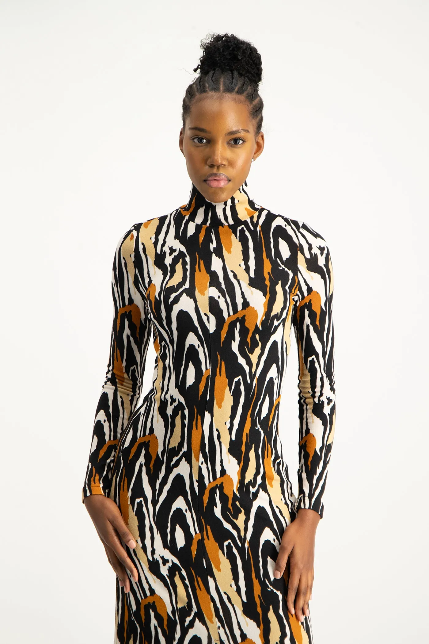 Catarina Printed Poloneck Dress