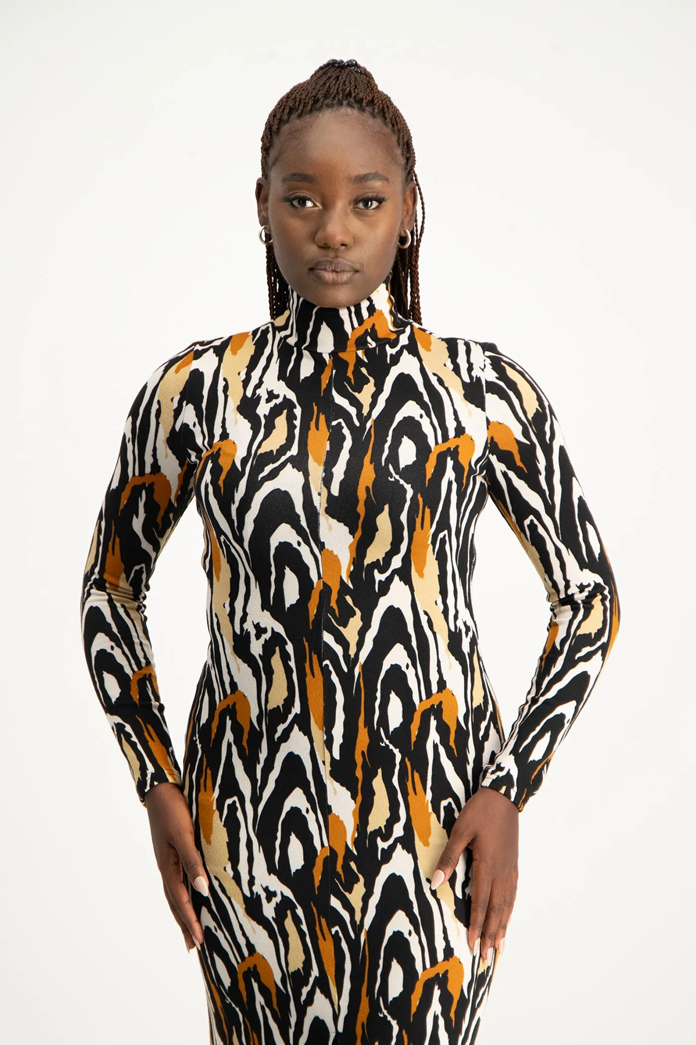 Catarina Printed Poloneck Dress