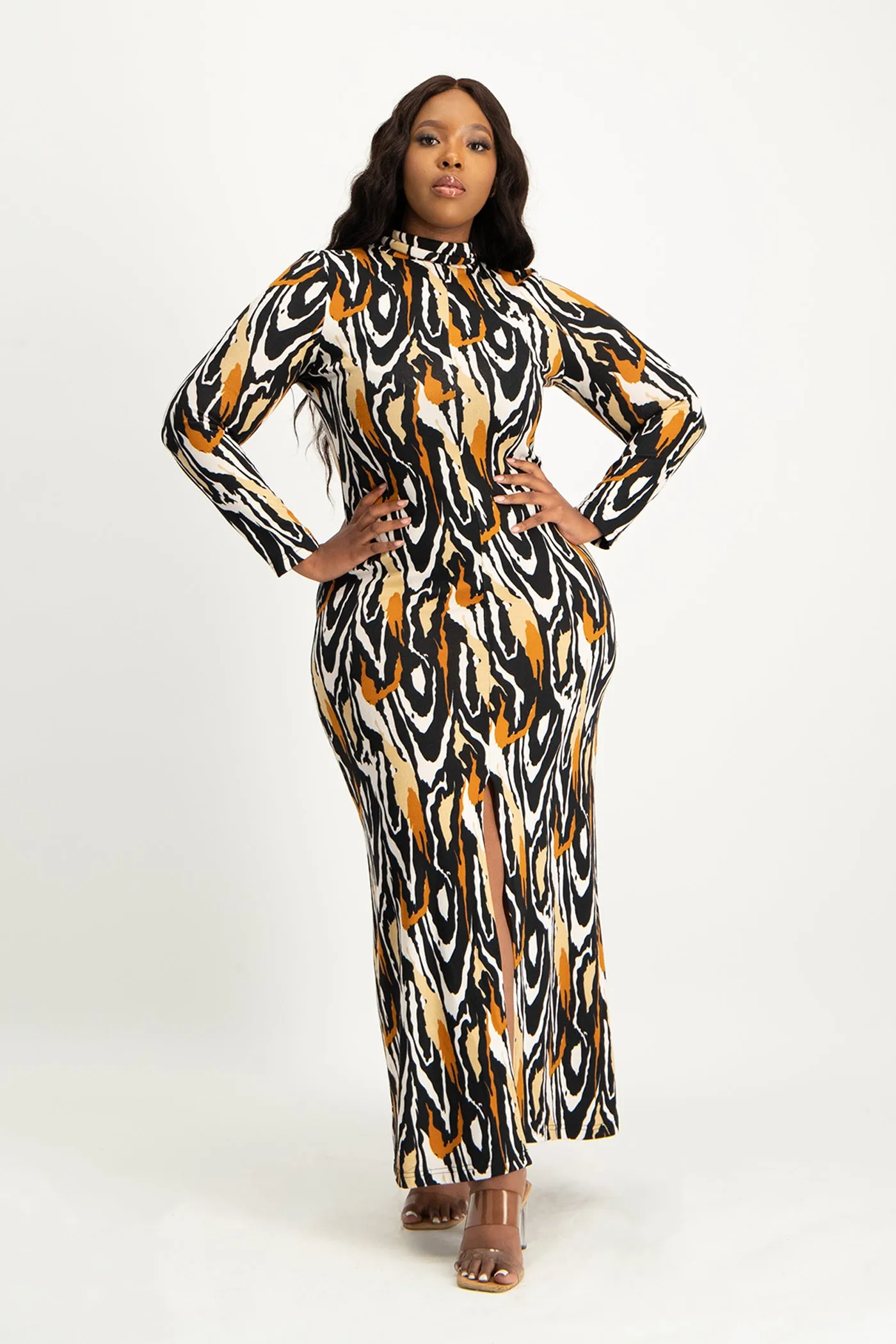 Catarina Printed Poloneck Dress
