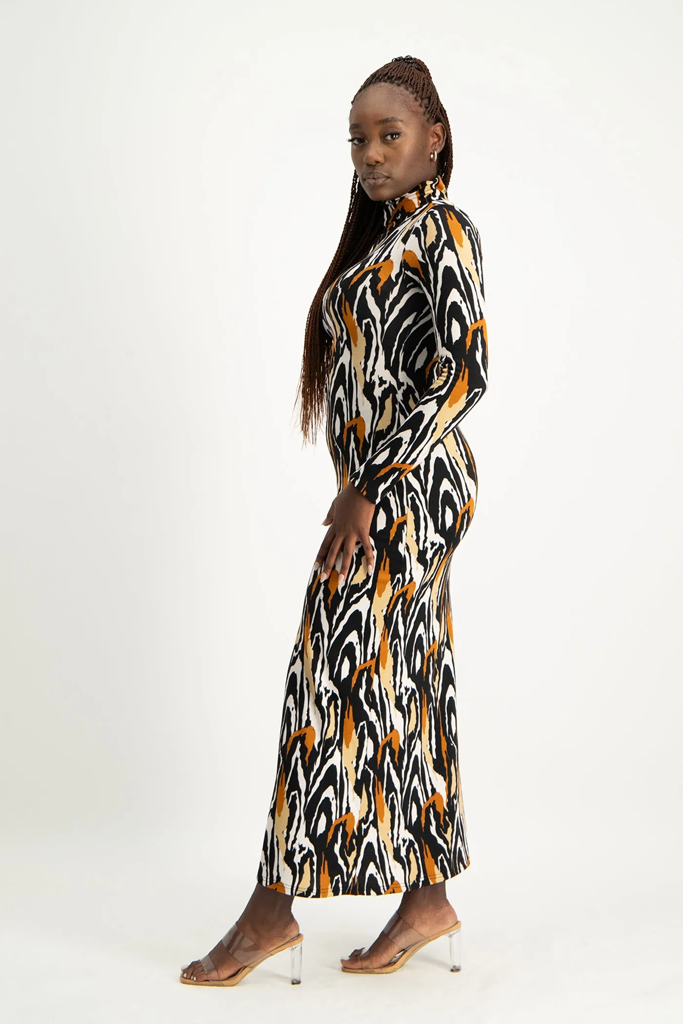 Catarina Printed Poloneck Dress