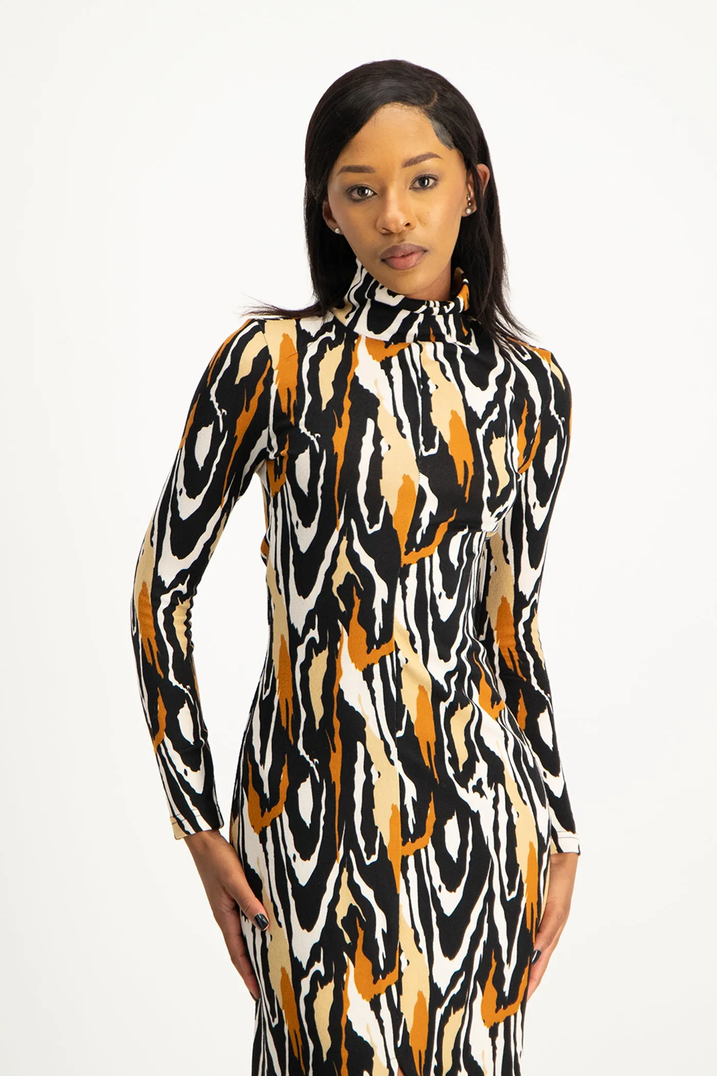Catarina Printed Poloneck Dress