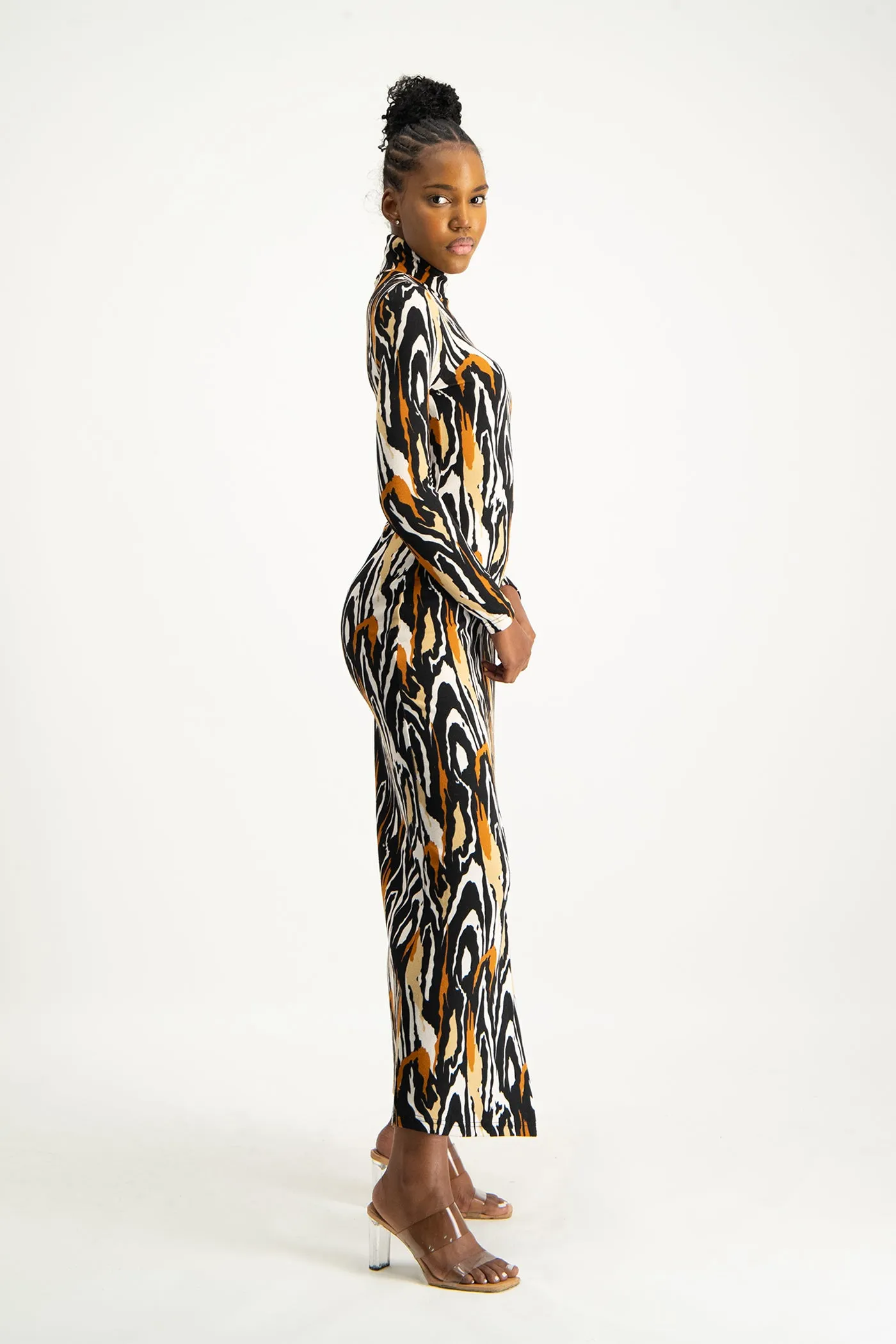 Catarina Printed Poloneck Dress