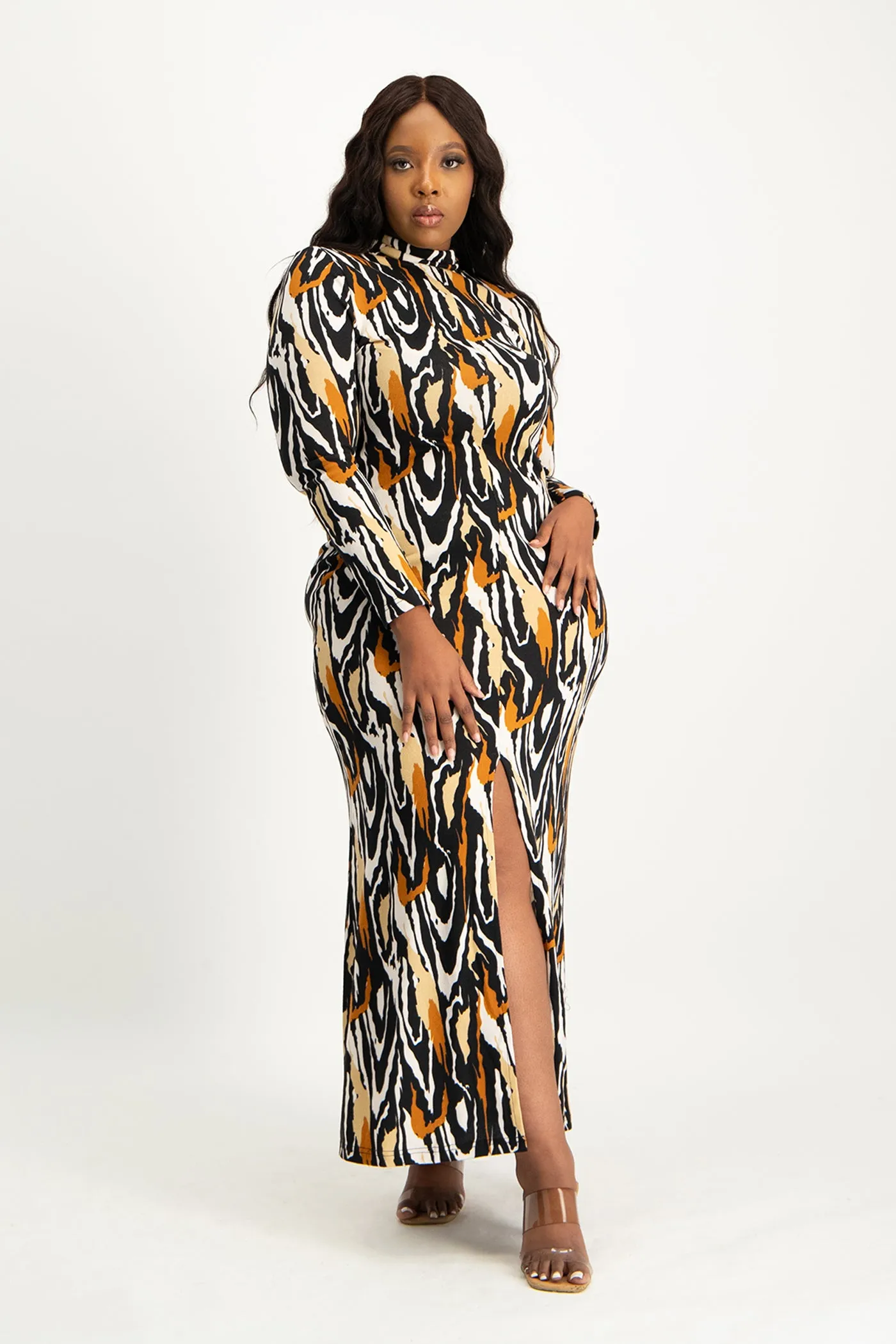 Catarina Printed Poloneck Dress